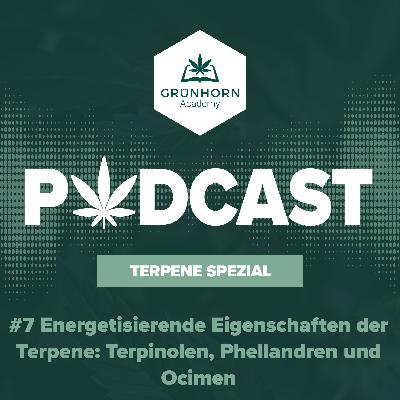#7 Terpene in Cannabis: Energetisierende Eigenschaften der Terpene