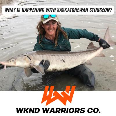 Episode 100 // What Is Happening With Saskatchewan Sturgeon?