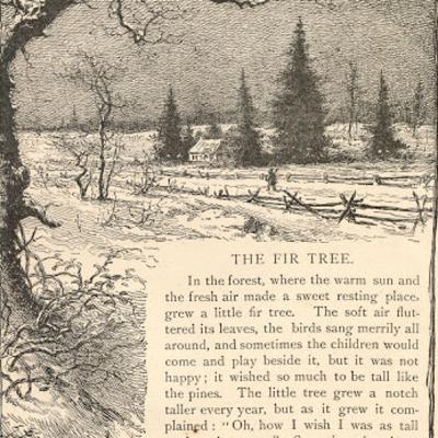 The fir tree by Hans Christian Andersen The fir tree by Hans Christian Andersen