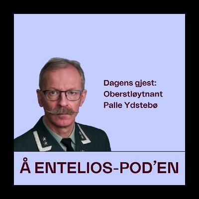 Oberstløytnant: - Det er nok av elementer i norsk kraftproduksjon som kan ødelegges
