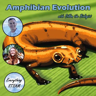 Amphibian Evolution Amphibian Evolution