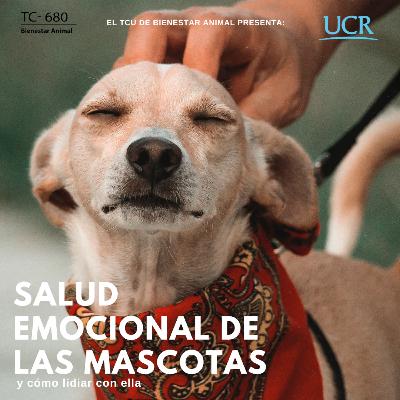 Episodio 42: La salud emocional de las mascotas y cómo lidiar con ella