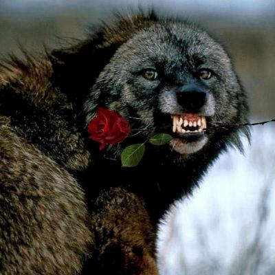 Bonus 1: Beastiality Bonus 1: Beastiality