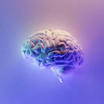 Research on meditation: Meditation_ Brain Responses and Stress Reduction Research on meditation: Meditation_ Brain Responses and Stress Reduction