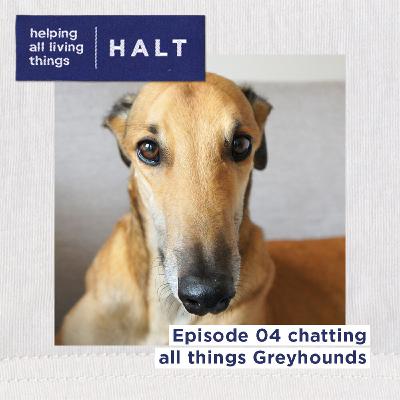Giving Greyhounds A Second Chance - Dennis Anderson