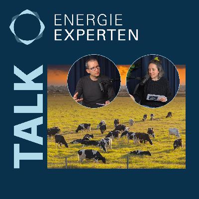 Methan: Klimagas Nr. 2 (Talk)