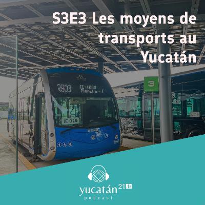 Les moyens de transport au Yucatan