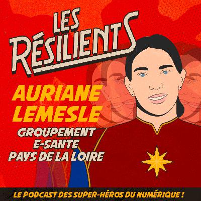 La cyber-résilience des établissements de santé La cyber-résilience des établissements de santé