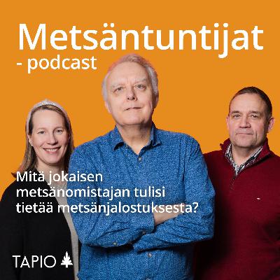Mitä jokaisen metsänomistajan tulisi tietää metsänjalostuksesta?