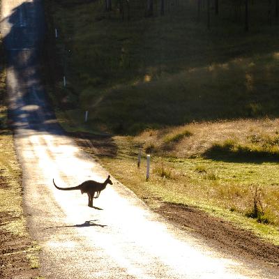 The Basics of the Australian Outback
