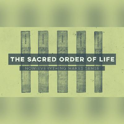 Episode 278: The Sacred Order of Life - The Beginning of the Nation of Israel - Part 10 - Genesis 12 / 2025.11.30