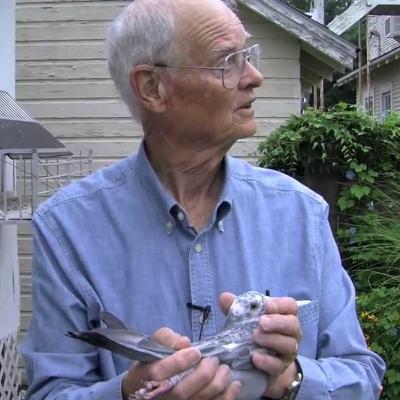 Don Welch