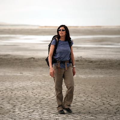 How Do We Deal With Bad Air Quality? How Do We Deal With Bad Air Quality?