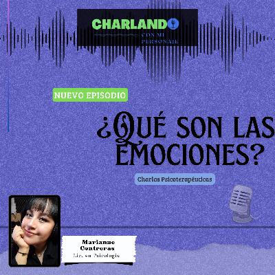 ¿Qué son las emociones?