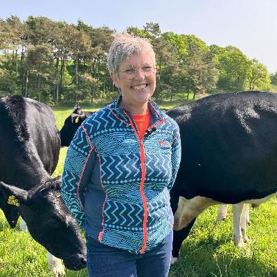 Kultiverat kött! Vad konkurrerar man med som lantbruksföretagare?