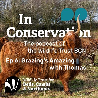 Episode 6: Grazing's Amazing with Thomas