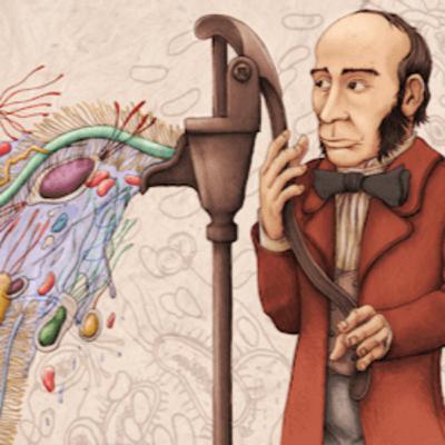 Tretas epidêmicas Tretas epidêmicas