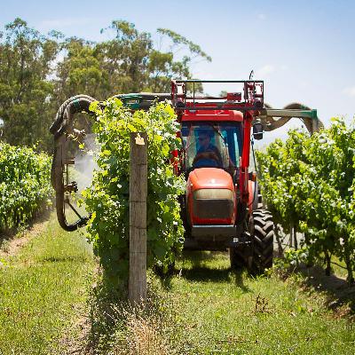 As tecnologias na viticultura de precisão