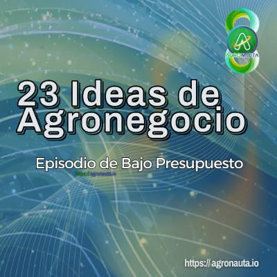 23 Ideas de Agronegocios - Episodio de Bajo Presupuesto