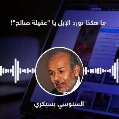 ما هكذا تورد الإبل يا "عقيلة صالح"!