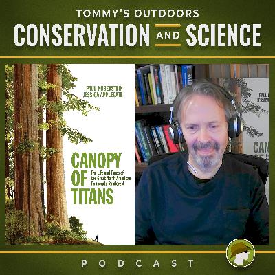 217: Canopy of Titans - Greenwashing and the Great North American Temperate Rainforest with Paul Koberstein
