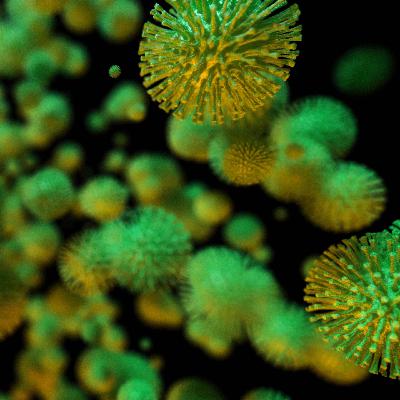 Antibiotikum hilft gegen multiresistente Keime