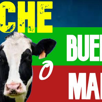 LECHE SÍ o NO (beneficios y perjuicios de la leche animal). La VERDAD