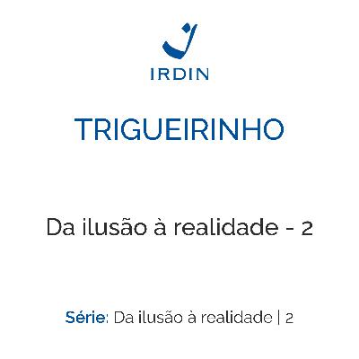 Da ilusão à realidade - 2