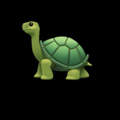 Tommy the Tidy Turtle