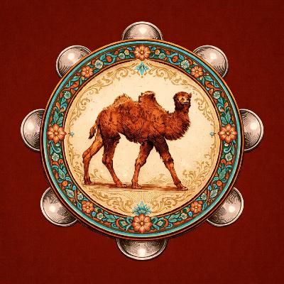 The Jewish Sufi Pilgrim — Trailer