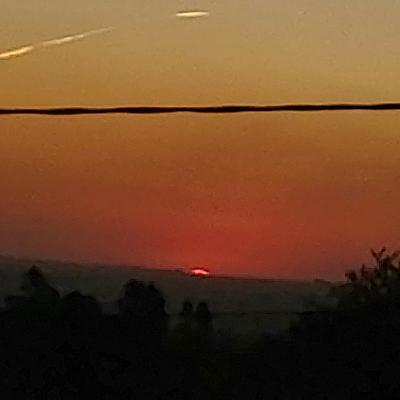 Dia Dali 22 da Lua Cristal do Coelho Dia Dali 22 da Lua Cristal do Coelho