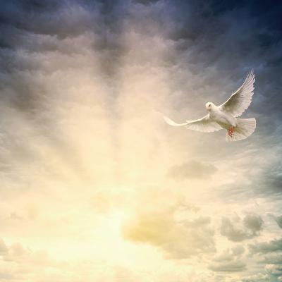 Heilige Geest van God, vul opnieuw mijn hart | Ds. Bart de Bruin | Goes