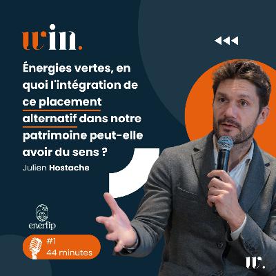 #1 Énergies vertes, en quoi l'intégration de ce placement alternatif dans notre patrimoine peut-elle avoir du sens ? avec Julien hostache
