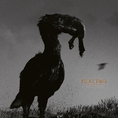 ALBUM REVIEW: HERETOIR - Solastalgia