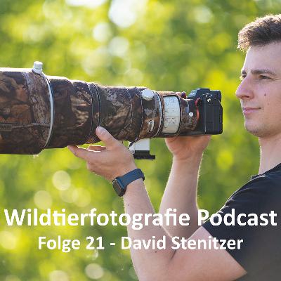 Wildtierfotografie Podcast - Folge #21 - Ethische Naturfotografie mit David Stenitzer