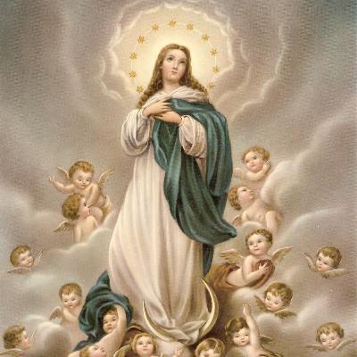 Draaipunt | Hilana Cronje Draaipunt | Hilana Cronje