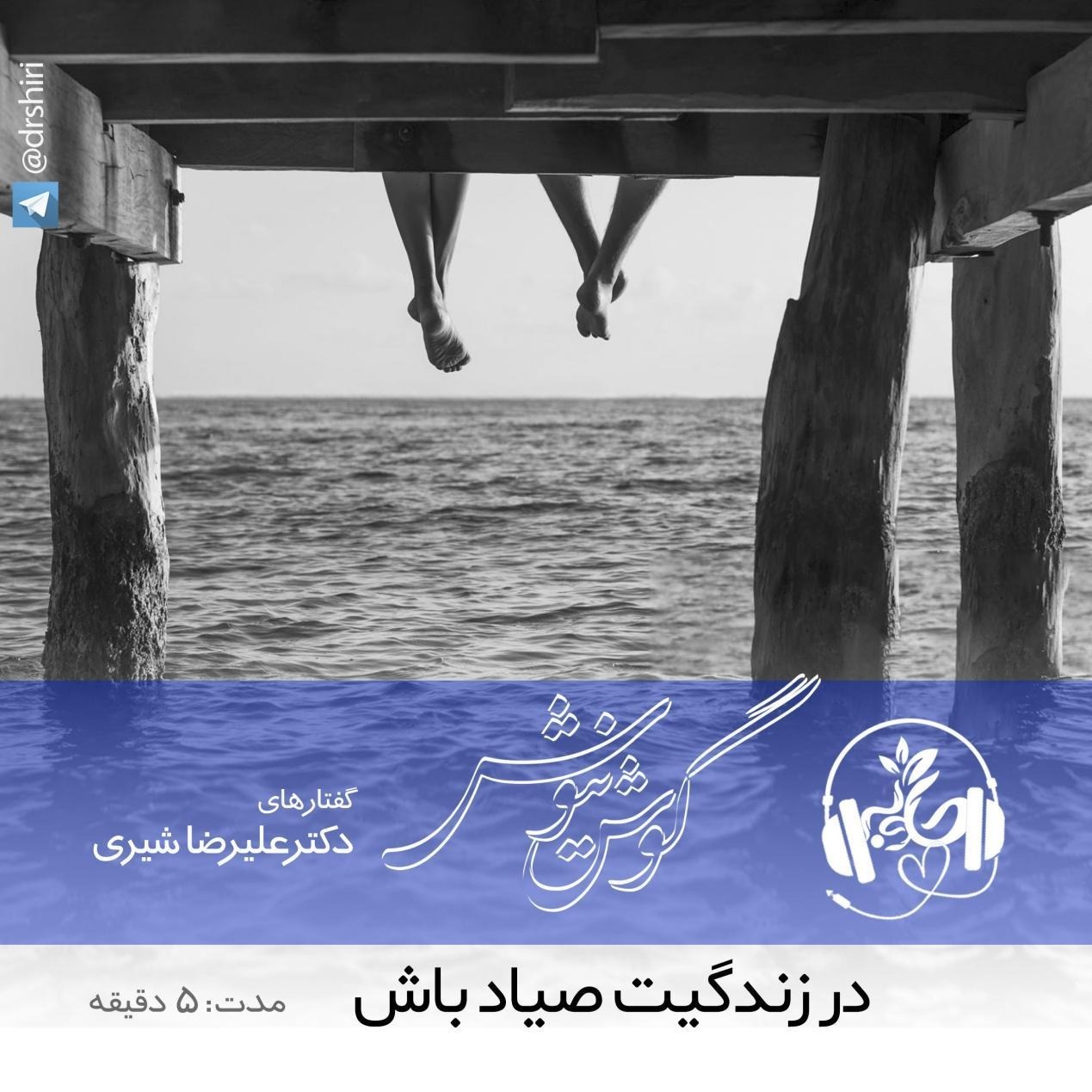 در زندگیت صیاد باش