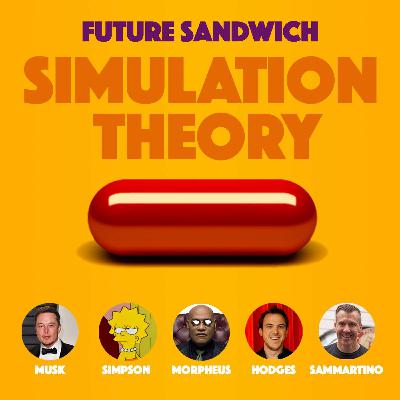 Simulation Theory Simulation Theory
