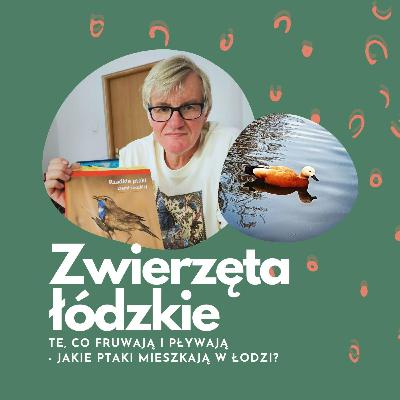 Te, co fruwają i pływają | dr hab. Tomasz Janiszewski | Zwierzęta łódzkie Te, co fruwają i pływają | dr hab. Tomasz Janiszewski | Zwierzęta łódzkie