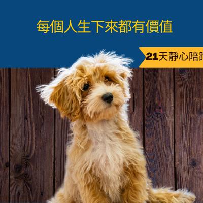 貴人冥想(再見的時候)｜21 天靜心陪跑 Day 11