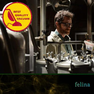 Best Quality Vacuum 66: Felina