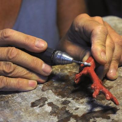 Ajaccio et l' or rouge : la grande histoire de la pêche au corail Ajaccio et l' or rouge : la grande histoire de la pêche au corail