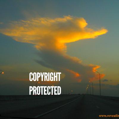 Episode 7: Hey Hey, It's May!!