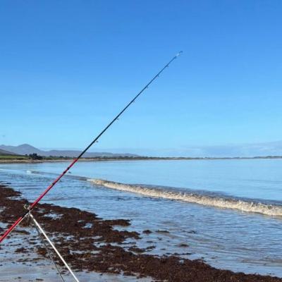 La mise à jour hebdo de la pêche à la ligne Irlandaise, 03 Oct 2025