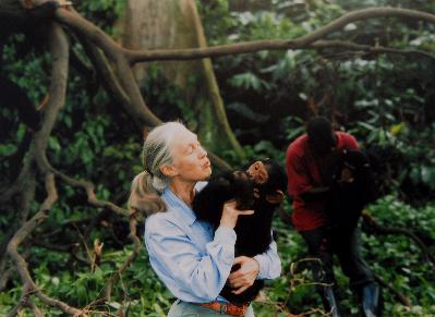 Vale Dr Jane Goodall — why the renowned primatologist and environmentalist held onto hope