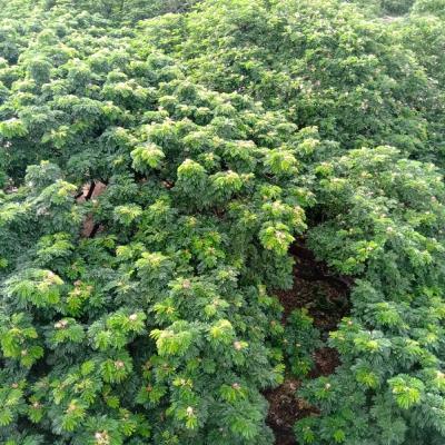 Bhul R Thik apni amake likhe janan ..amr bola golpo apnake kamon lage ? Bhul R Thik apni amake likhe janan ..amr bola golpo apnake kamon lage ?