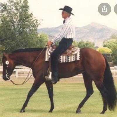 Dale Livingston talking about his way into the horse business and some of the great horses he had