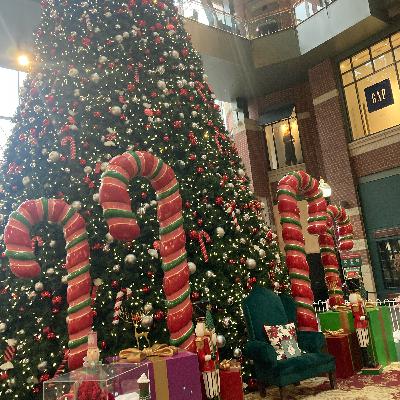 1.260🎵When It’s Over cover 1.260🎵When It’s Over cover