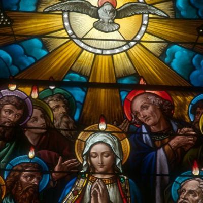 Episode 26: Dr. Christopher McElroy