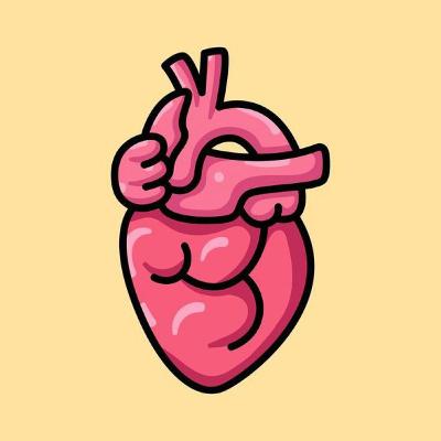 The Circulatory System The Circulatory System